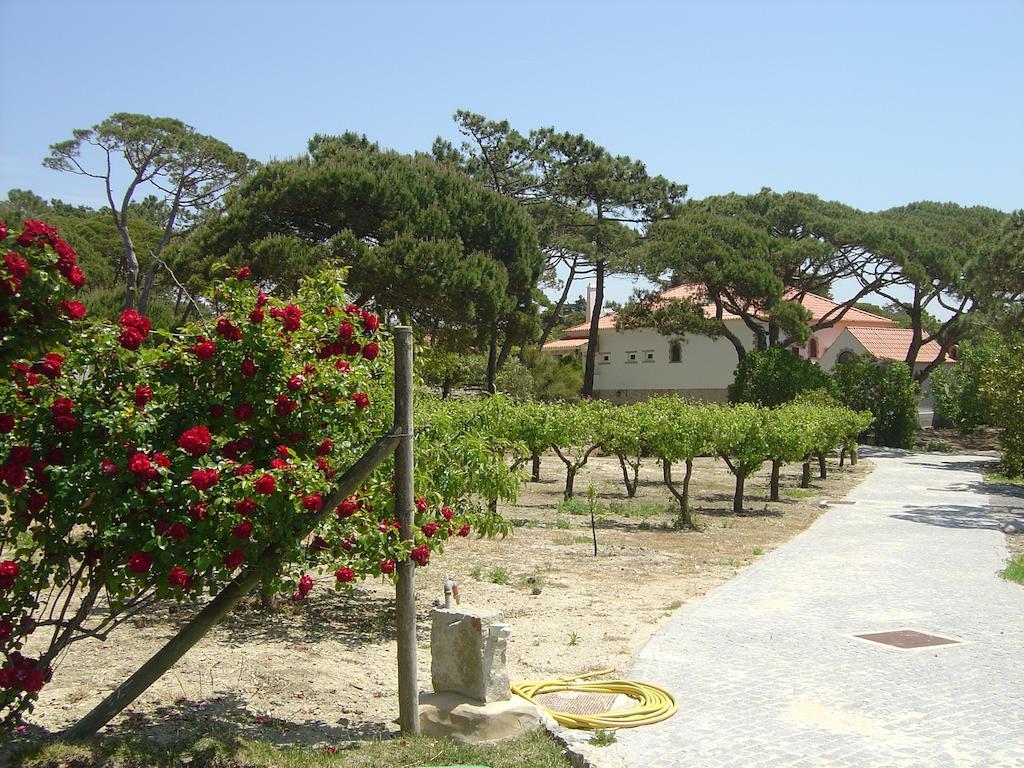 Solar Do Magoito ξενώνας Σίντρα Εξωτερικό φωτογραφία